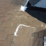 43395081_10213082293718070_8409076405383462912_n